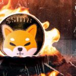 Shiba inu sky rockets with 5,223% burns as millions of Shib disappear.