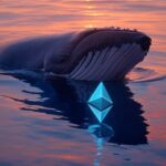 Ballenas accumulates 1.5 million Ethereum in 30 days