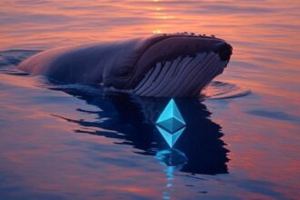 Ballenas accumulates 1.5 million Ethereum in 30 days