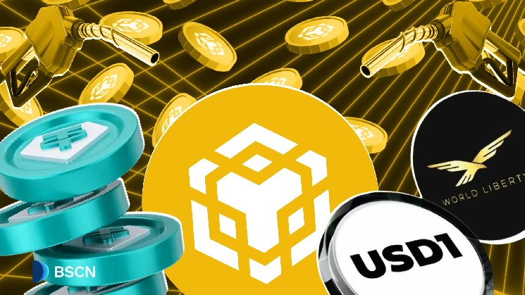 The BNB chain is leading stubcoin activities with extended gas-free travel