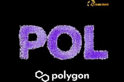 Pioneering Cross-Chain Transfer Using Wormhole NTT