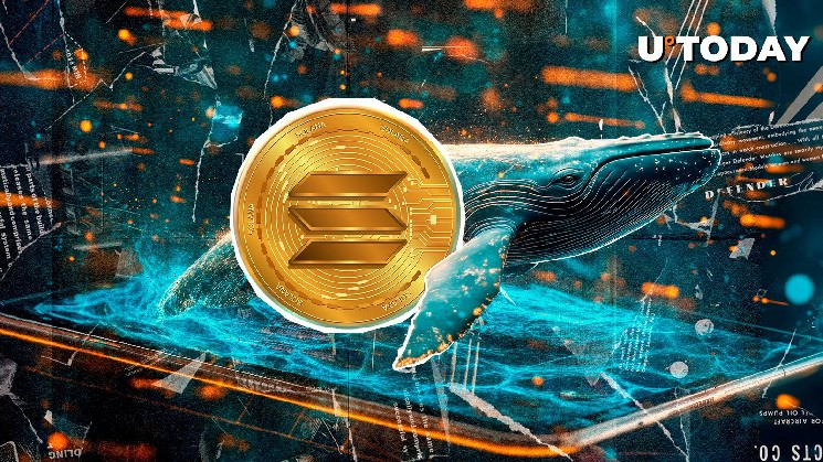 The $320 million Solana (SOL) traveled in just a few hours, what's going on?