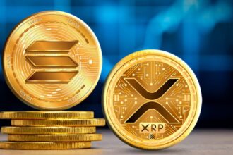 XRP and Solana go to the Ministry of Finance on all blockchains
