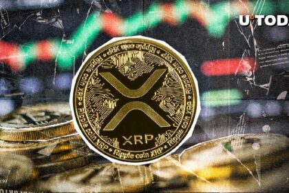$1.6 billion XRP surge: This is what it's unfolding