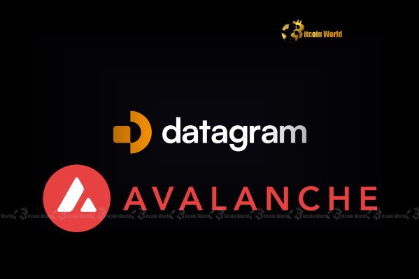 Datagram unleashes innovative AI layer 1 blockchain in an avalanche with a $4 million boost