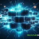 Spur protocol and Wizolayer join forces to increase Web3 engagement across the basic ecosystem