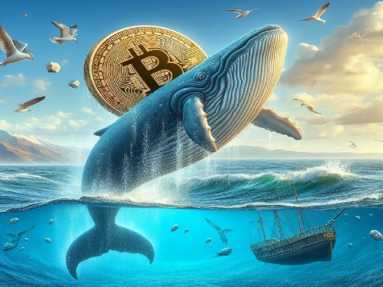 The giant BTC whale panicked FUD on Bitcoin yesterday made a massive deal today
