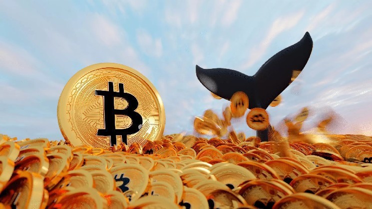 The mysterious Bitcoin Zilla attacks again! Thousands of Bitcoin have been moved to another address! Are there any sales coming?