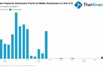Bit Main Funnel 187 Ton Ant Minor Parts for Skirting Our Customs Tax