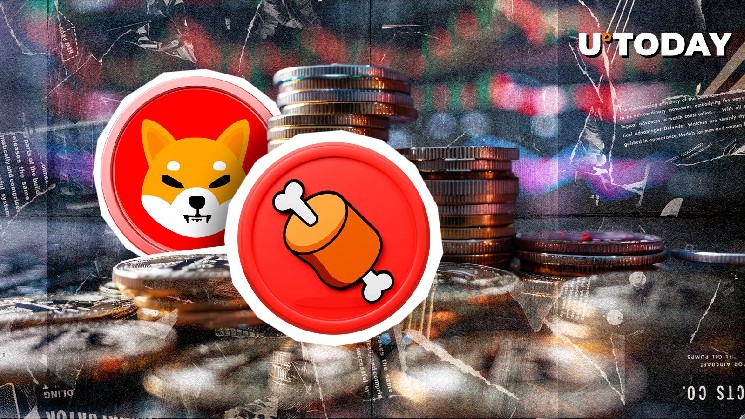 Major exchanges post bones and shiv community reacts