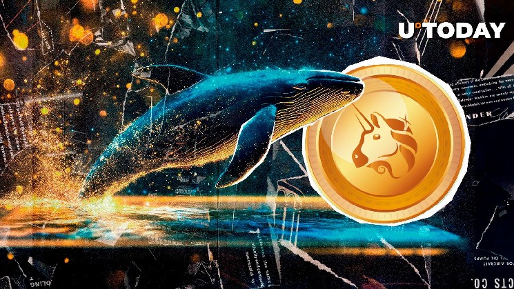 UNISWAP (UNI) Whale Transaction Rocket 1,713%, how does the price respond?