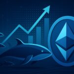 Ethereum Whales Add 1.80 Million ETH In 30 Days – Massive Accumulation Trend