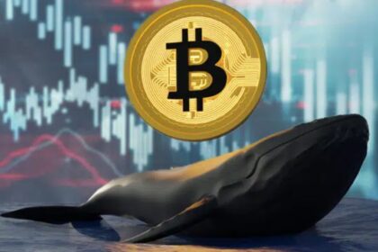 Last month, 140,000 Bitcoin sold whales