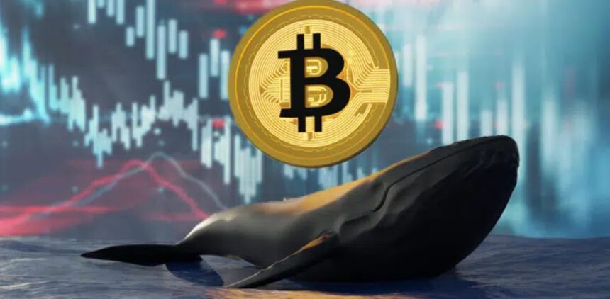 Last month, 140,000 Bitcoin sold whales