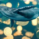 Bitcoin has been struggling with the biggest liquidation of whales since 2022