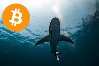 Bitcoin Shark bought 65,000 BTC in a week