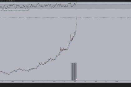 Bitcoin could follow gold’s RSI by 6x, according to macro experts