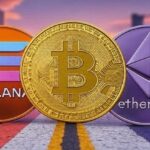 What will the price of Bitcoin, Ether, and Solana be in one year? Bitwise reveals research results
