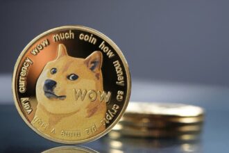 Dogecoin brings in more returns than 3,000 ETFs