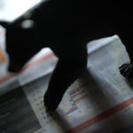 Why this Bitcoin bear market is one of the worst in history: CryptoQuant researcher