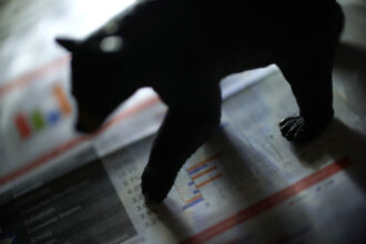 Why this Bitcoin bear market is one of the worst in history: CryptoQuant researcher