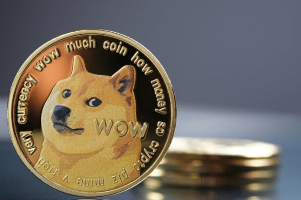 Dogecoin, the forgotten virtual currency